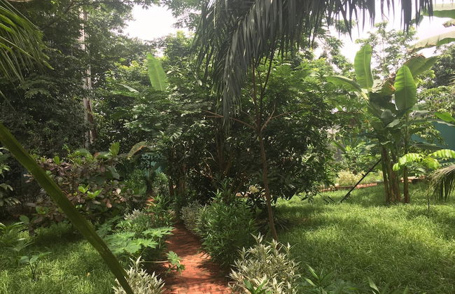 Amadi Villa - Photo 21