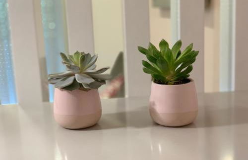 Curia Clube - Foto 25