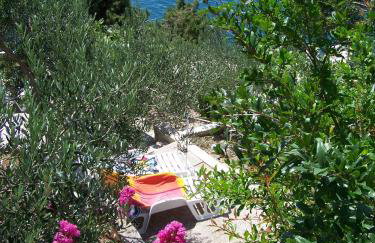 Apartments Mediteraneo - Foto 39