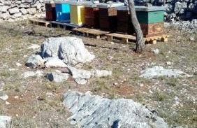 Apartments Brkić, Lozovac Krka NP with Pool - Foto 69