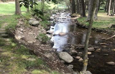 El Pinsapo - Foto 14