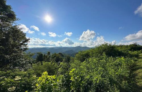 Appalachian Hideaway - Foto 42