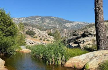 Peppermint Falls Ranch - Foto 4