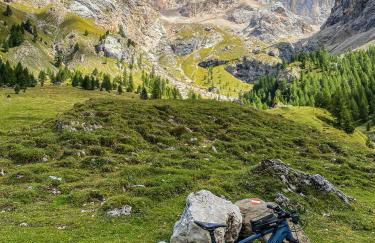 Cesa Bernard - Apartment Cima 12 e new Apartment Fraine - Foto 49