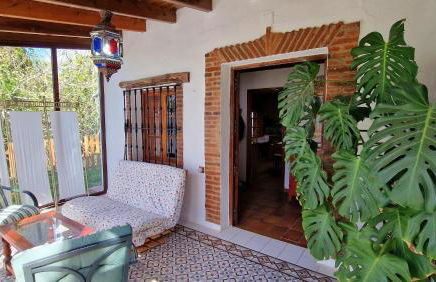 Huerto Fernandito - Foto 8