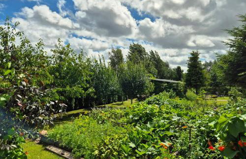 Agroturystyka „Między Polami” - Foto 34