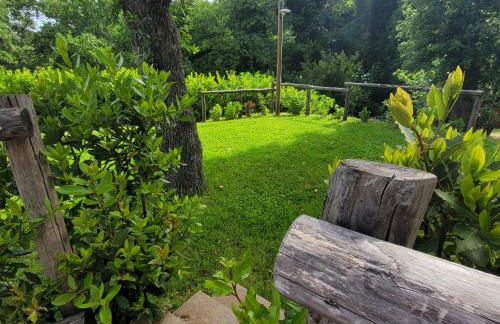 La Sovrana dei Cimini - Foto 49