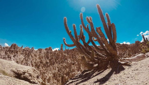 La Paz Private Tour - Foto 5