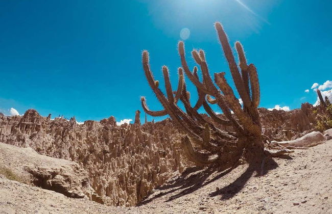 La Paz Private Tour - Photo 5