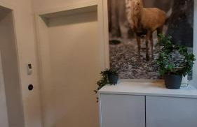 4 Sterne Wohnen "Zum alten Forsthof" am Schlosspark, App 3 "wunnerbor" - Foto 8