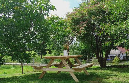 Dom Podróżnika -aktywne wakacje - Foto 47