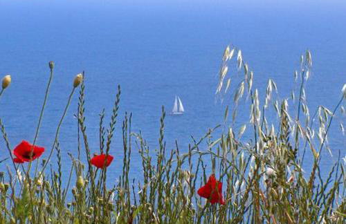 Apartment Danijela Mljet - Foto 38