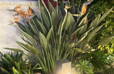 CASA VACACIONAL MÁLAGA 14 Chalet - Photo 15