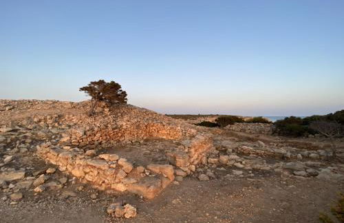 Can Jaume 10 - Foto 43