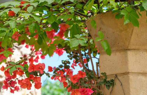 Trochalo Villas 2 - Foto 36