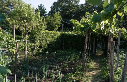 Villa Giardino Boschivo - Irpinia - Foto 26