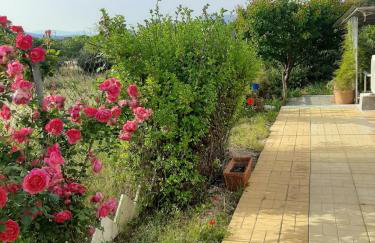 Helen's cozy studio (close to the airport) - Foto 8