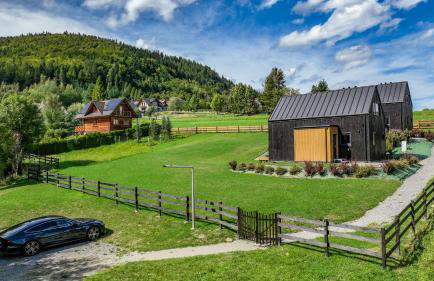 Domki Salamandra Lipowa - Foto 6