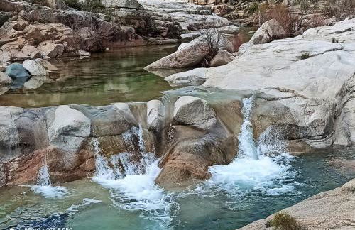 Lecci St Cyprien Don Andria - Foto 9