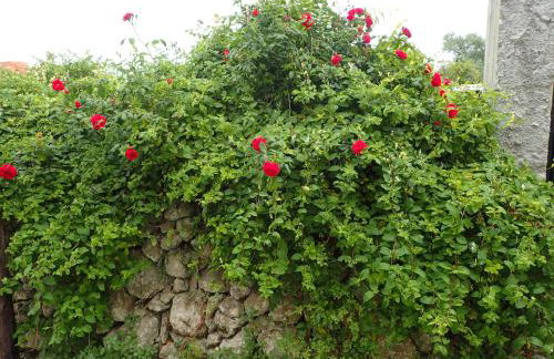Villa Angelique - Foto 23