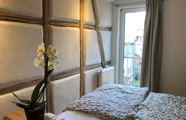 Stella Apartments - Photo 29