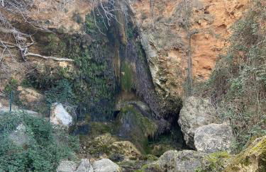 Alojamientos La Tercia - Foto 53