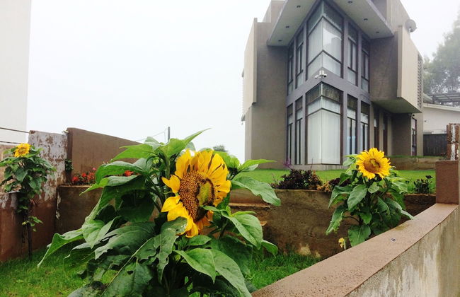 Kingsford Residences - Foto 28