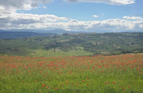 Il Centro Storico - Photo 32