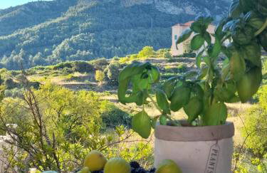 Hvar Architect's House - Photo 44