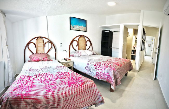 HominngBird - Foto 13