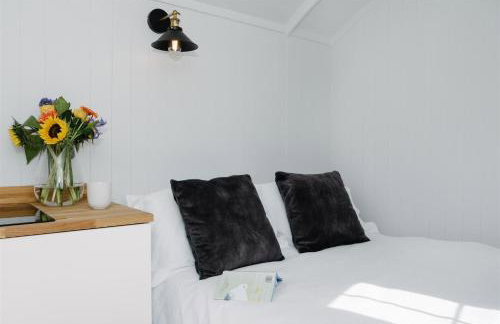 Shepherds Hut at Chenhall Farm - Photo 49