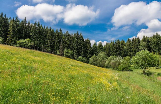 Ferienhaus in Barenstein bei Grunen Hugeln - Foto 35