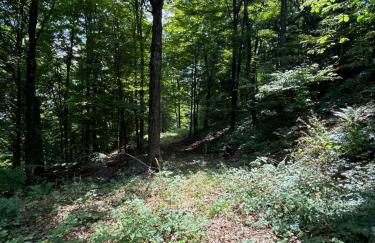 Saratoga Lake Boathouse Retreat - Photo 36