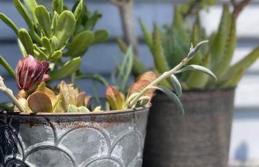 Airy Modern 2BR/2BA - Parking + Laundry + Sleep 6 - Foto 21