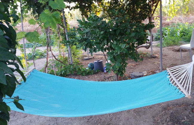 Kastraki Dream near the beach - Foto 62