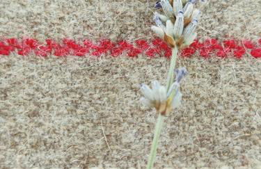 Casas dos Senadores by Vale do Zêzere Hotel - Foto 21