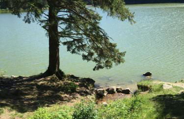 Le petit Kichon - Foto 30