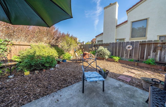 Succulents & Seashells Coastal Paradise by Beach - Foto 28