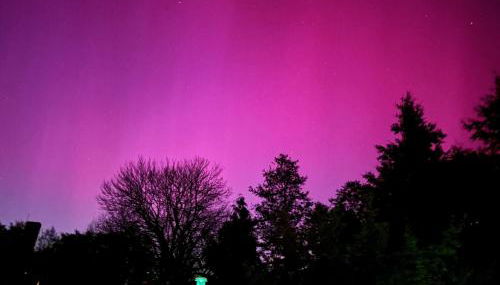 Forsthaus Neudorf - Gartenblick - Foto 4, Garden view