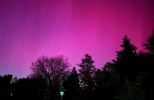 Forsthaus Neudorf - Gartenblick - Foto 4