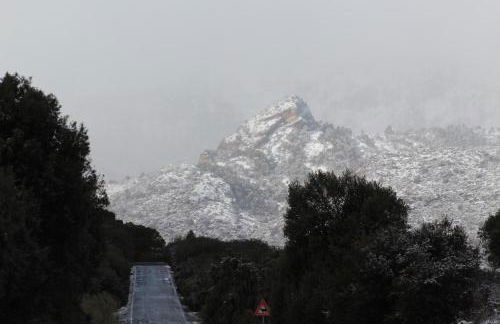 El Almendro de Fuentes Nuevas - Foto 43