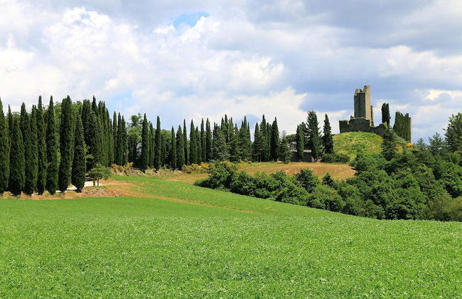 Casa La Magnolia - Foto 15