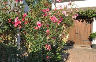 Onkel Nik - Premium Lofts & Apartments - Foto 3