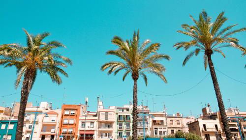 Fabrika Loft Serrallo - Foto 3, Other