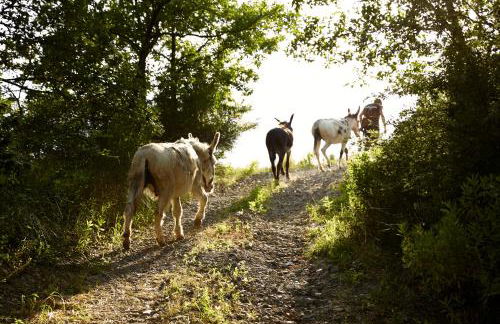 Agriturismo Ca' del Ciuco - Foto 78