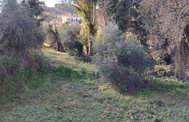 Tzafi's Apartments 2 - Foto 11