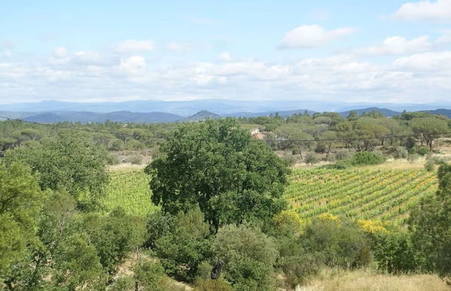 Villa in Vidauban With Pool & Vineyards Nearby - Foto 25