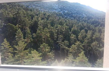 Estudio romántico en Puerto De Navacerrada - Foto 1