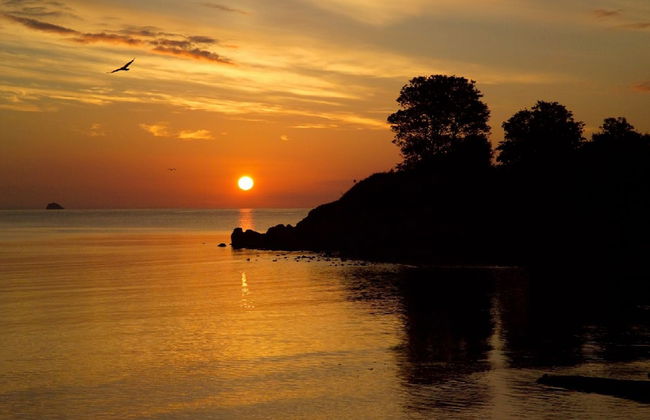 Broadshade Holiday Apartments - Foto 63