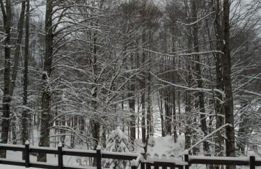 Casa nel bosco - Foto 22